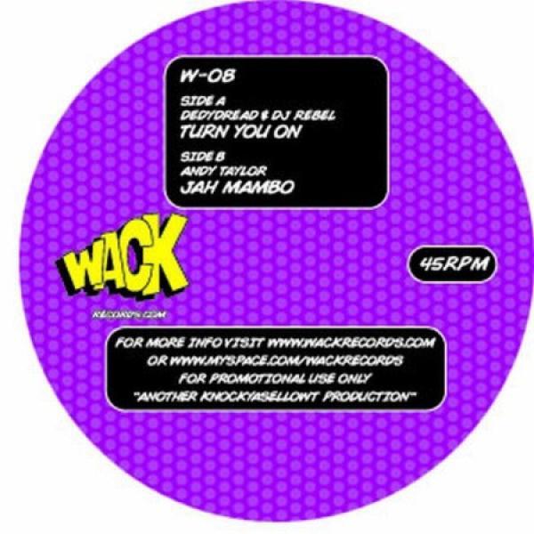 Dedy Dread, DJ Rebel , Andy Taylor  - Turn You On / Jah Mambo