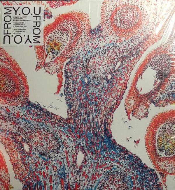 From (8) - Y​.​O​.​U